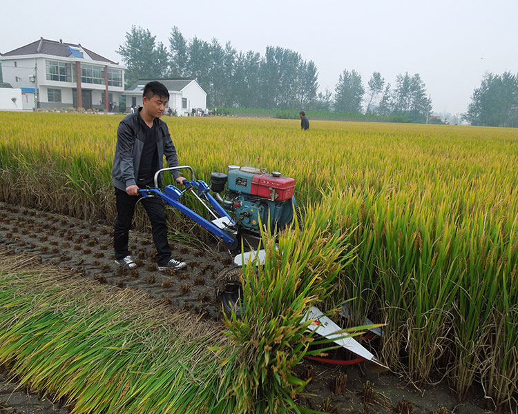 小型农用水稻收割机