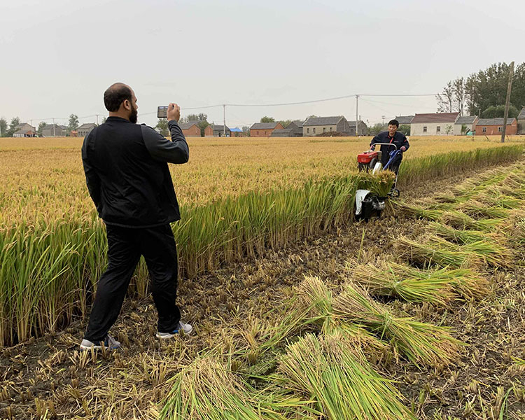1万元小型水稻收割机购买途径